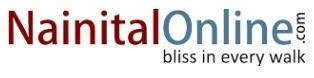 NainitalOnline logo