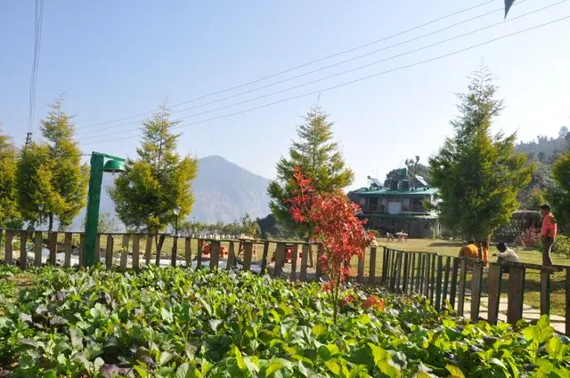 Emerald Trail garden, Jungaliagaon — photograph, 2019
