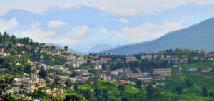 almora